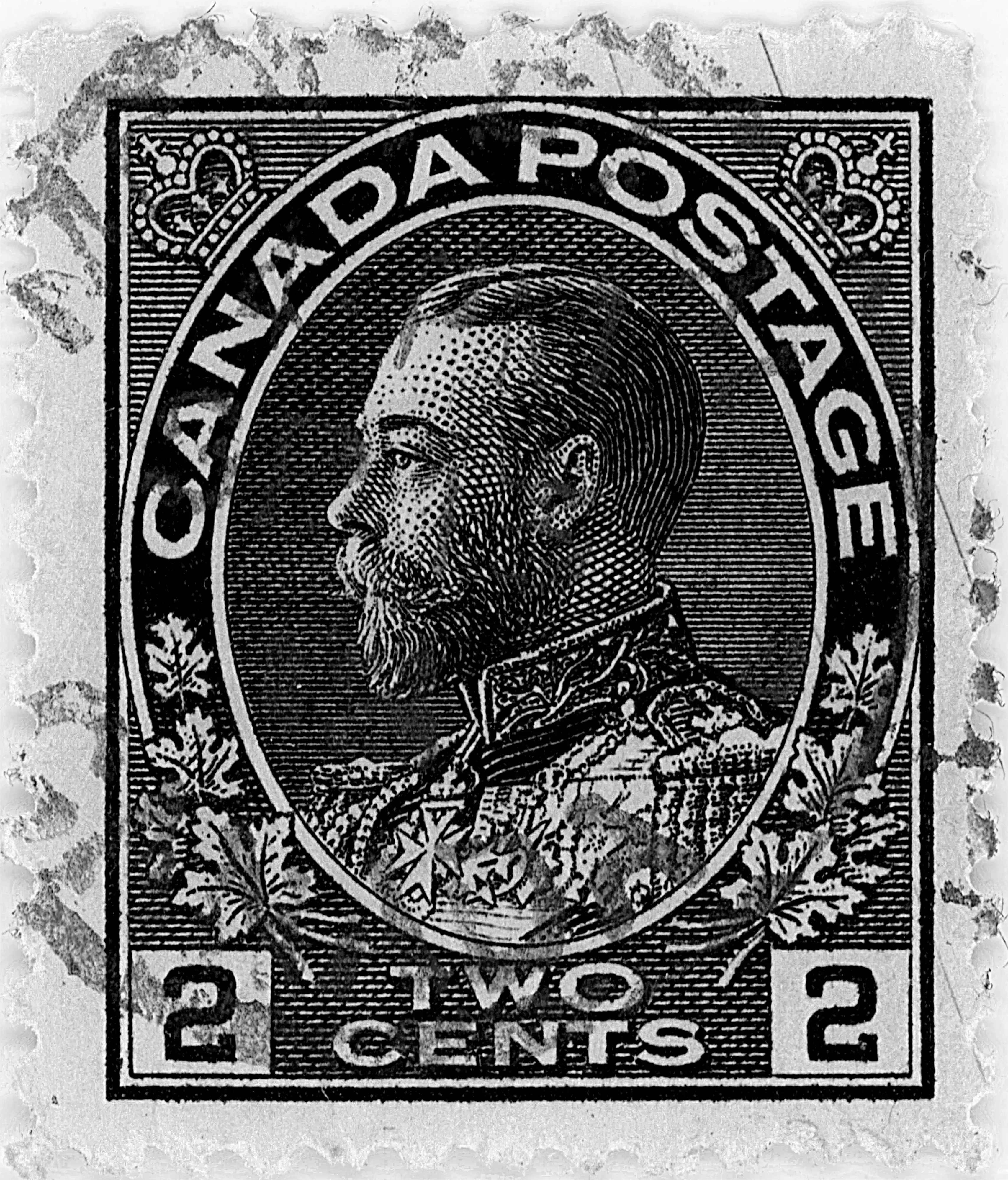 2¢C F Z4 KO bw.webp